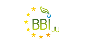 Logo-BBI JU-300x150px